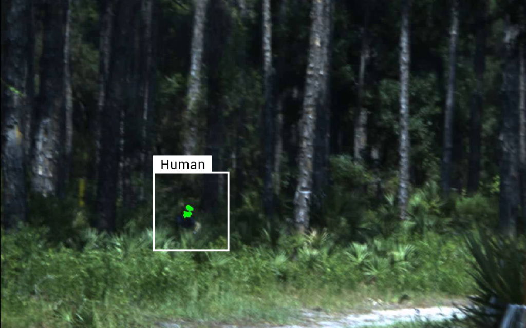 human detection in woods