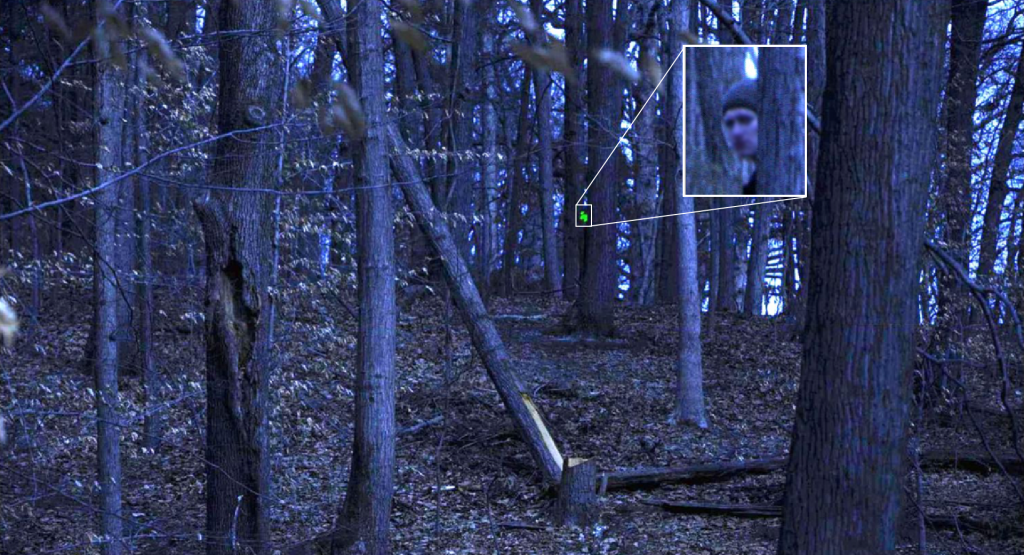 Human detected in woods