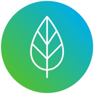 Leaf/Environmental Icon