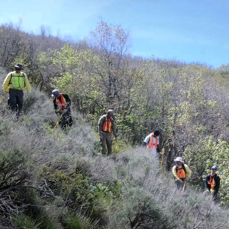 Munitions And Chemical Warfare