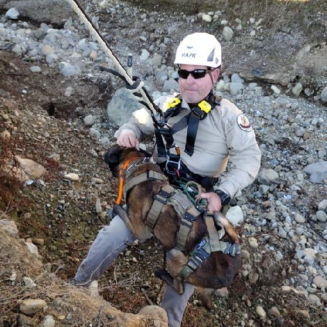 Munitions and Chemical Warfare