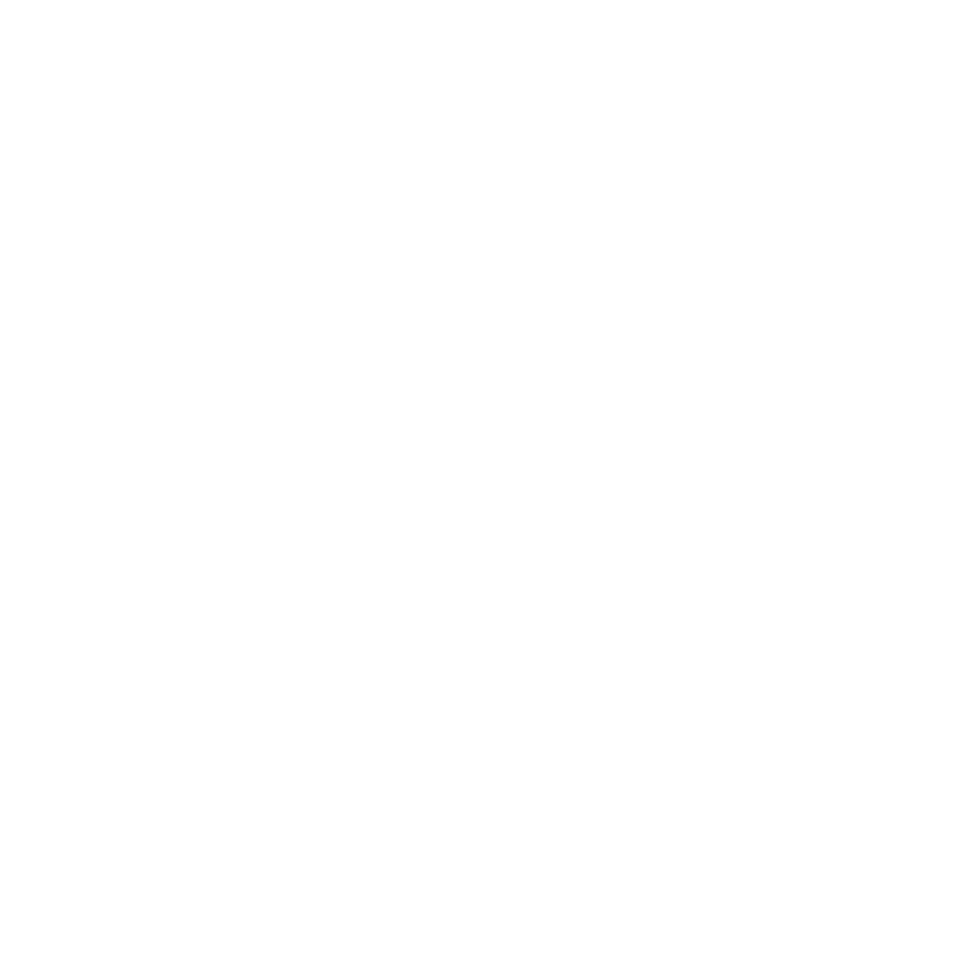 PALADIN