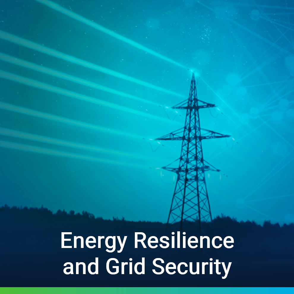 Energy and Grid Resiliency