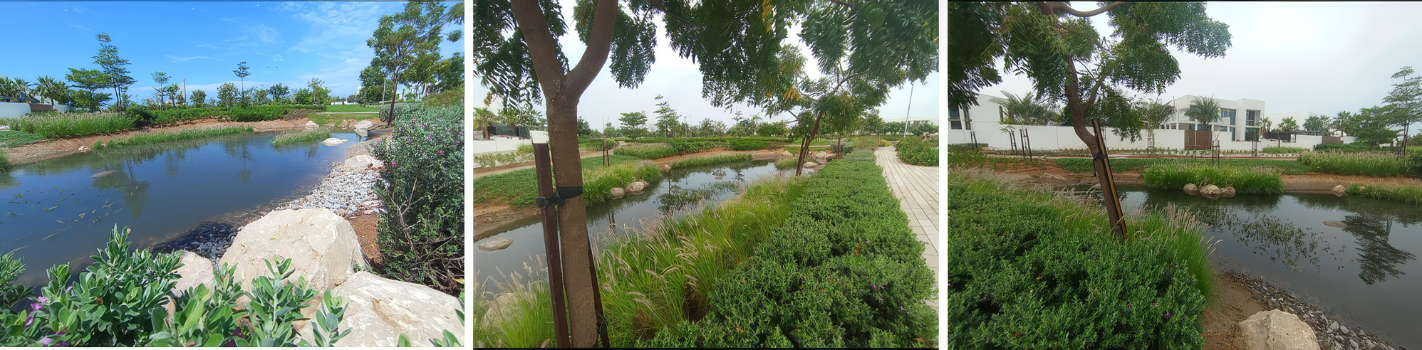 Irrigation supported by Stormwater Retention_ Jubail Island_Parsons