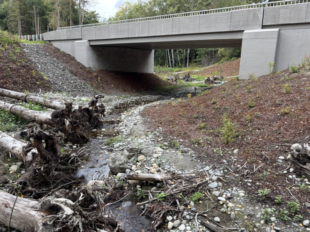 Chicken Coop Creek Bridge & Streambed